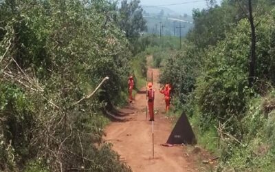 EPWP Labour Intensive Construction of L3096 (Themba Road)