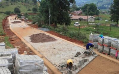 The Construction of Road L1756 using Labour Intensive Construction